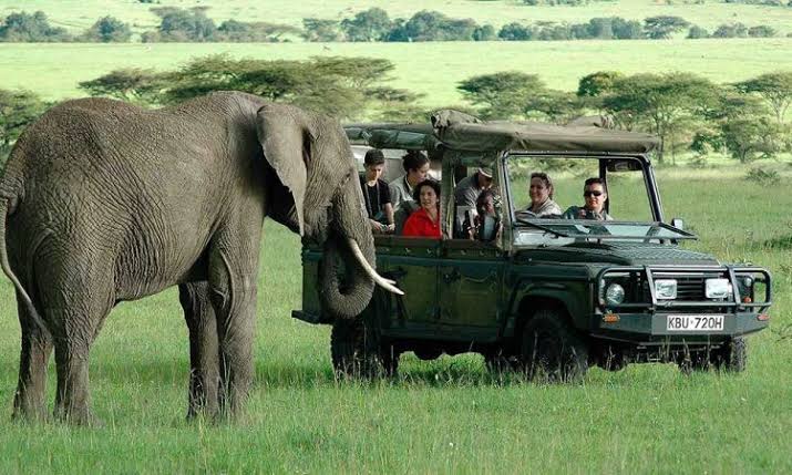 Safari Adventure Kenya